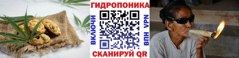 купить наркоту  Терек  Еда ТГК марихуана 