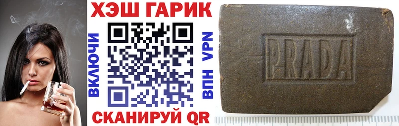 ГАШ гарик  Терек 